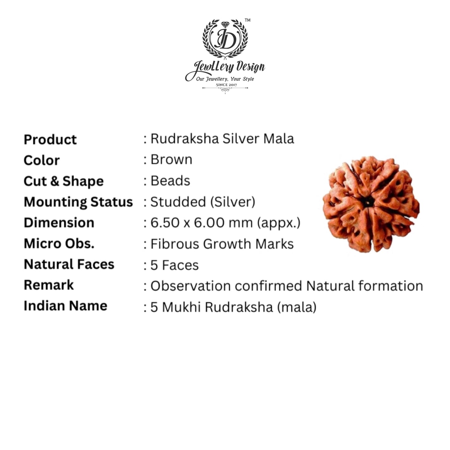 Carry the Energy of Lord Shiva – Buy the Trishul Damru Rudraksha Pendant Chain Now